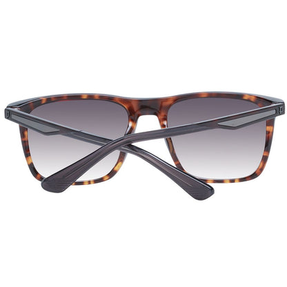 Police Braun Herren Sonnenbrille